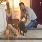 ���������� ������, ���� ������� ����������, 47 ���, ������������ ��� ������, ����� � ���������, c�������� ���������