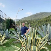  --,   , 48 ,   