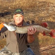 ���������� �����, ���� ������� ��������, 57 ���, ������������ ��� ����� � ���������