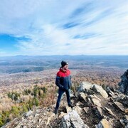 ���������� ���, ���� ������� Walt Disney, 40 ���, ������������ ��� ������, c�������� ���������