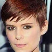 ���������� ������, Sasa