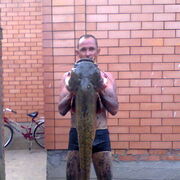 ���������� ����������, ���� ������� ��������, 43 ����, ������������ ��� ����� � ���������, c�������� ���������