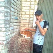 ���������� �����, ���� ������� ������, 41 ���, ������������ ��� ����� � ���������, c�������� ���������, ���������