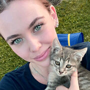 ���������� ����, �������