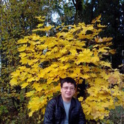  ,   Fan72, 49 ,   ,   , c 