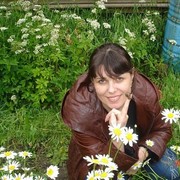  -,   , 49 ,   ,   , c 