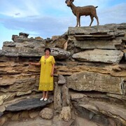 ���������� �����, ���� ������� ����, 55 ���, ������������ ��� ������, ����� � ���������