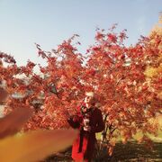  ,   , 39 ,     , c 