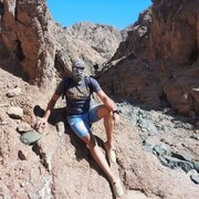 ���������� ���������, ���� ������� ������, 38 ���, ������������ ��� ������, ����� � ���������, c�������� ���������