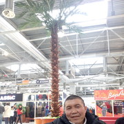 ���������� ���������, ���� ������� Ergan, 43 ����, ������������ ��� ������, ����� � ���������, c�������� ���������