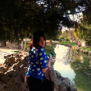  ,   , 31 ,     , c 