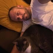 ���������� ������������, ���� ������� ����, 36 ���, ������������ ��� ������, ����� � ���������, c�������� ���������, ���������