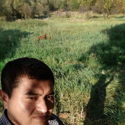 ���������� �������, ���� ������� �������, 37 ���, ������������ ��� ����� � ���������, c�������� ���������