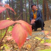  ,   , 51 ,     , c 