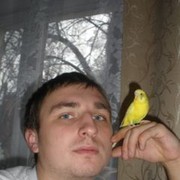 ���������� ��������, ���� ������� ������, 38 ���, ������������ ��� ������