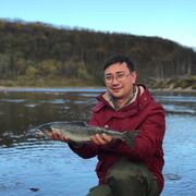 ���������� �����������, ���� ������� �����, 35 ���, ������������ ��� ������, ����� � ���������, c�������� ���������