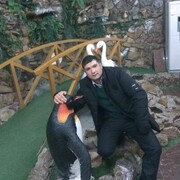 ���������� ������, ���� ������� �����, 29 ���, ������������ ��� ������, ����� � ���������