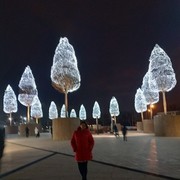 ���������� ���������, ���� ������� ������, 41 ���, ������������ ��� ������