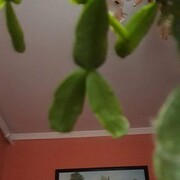  ,   , 48 ,   ,   , c 