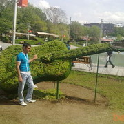  ,   Narek, 33 ,   