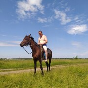 ���������� ����������, ���� ������� ����, 41 ���, ������������ ��� ������, ����� � ���������