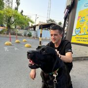 ,    , 31 ,  