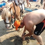 ���������� �������������, ���� ������� ������, 40 ���, ������������ ��� ������, ����� � ���������, c�������� ���������, ���������