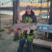 ���������� ������, ���� ������� �����, 37 ���, ������������ ��� ����� � ���������, c�������� ���������