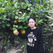  Ch'ongju,   , 22 ,   ,   , c 
