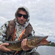 ���������� �����-���������, ���� ������� �����, 43 ����, ������������ ��� c�������� ���������