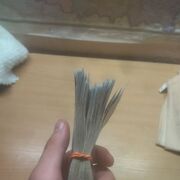 ���������� �����, ���� ����� �����, 22 ����, ������������ 