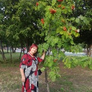  ,   , 62 ,     , c 