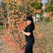 ���������� ������, ���� ������� ���, 41 ���, ������������ ��� ����� � ���������, c�������� ���������