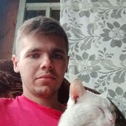  ,  , 29