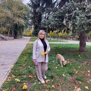  --,   , 59 ,   ,   