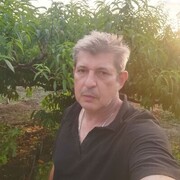  ,  , 55