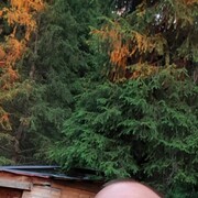 ���������� ������, ���� ������� ����, 44 ����, ������������ ��� ������, ����� � ���������, c�������� ���������