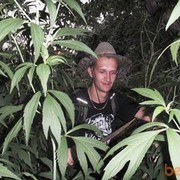   ,   , 42 ,   