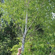 ���������� �����, ���� ������� ��������, 52 ����, ������������ ��� ������, ����� � ���������, c�������� ���������