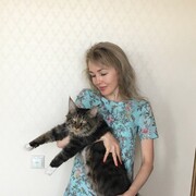  ,   , 49 ,   ,   