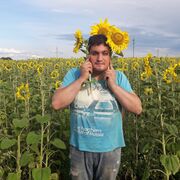 ���������� ������, ���� ������� ���������, 33 ����, ������������ ��� ����� � ���������, ���������