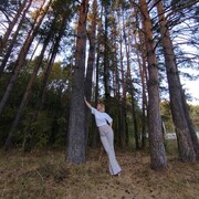 ���������� ������, ���� ������� ����, 41 ���, ������������ ��� c�������� ���������