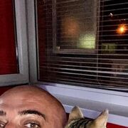  Bitola,   , 40 ,   ,   