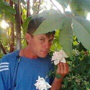  ,   , 43 ,   c 