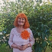  ,   , 65 ,   ,   