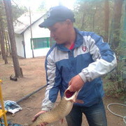  -,   , 43 ,   ,   , c 
