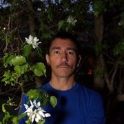  ,   Axat, 53 ,     , c 
