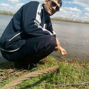 ���������� �����-���������, ���� ������� ����, 37 ���, ������������ ��� ������, ����� � ���������, c�������� ���������