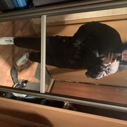 ���������� �����-���������, ���� ����� ����, 23 ����, ������������ ��� ������, ����� � ���������