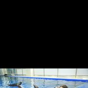 ���������� ������, ���� ������� ��������, 36 ���, ������������ ��� ������, ����� � ���������, c�������� ���������, ���������